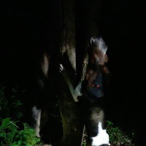 Meet your Posher, Samual